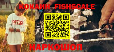 гидра Новозыбков
