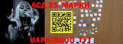 гидра Новозыбков
