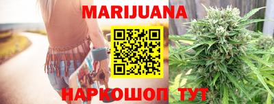 гидра Новозыбков